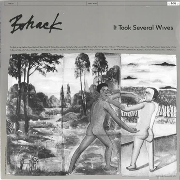 It Took Several Wives by Bohack - album cover