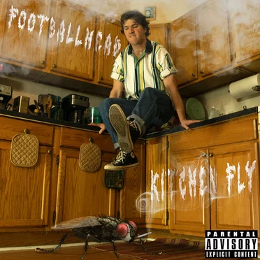 Kitchen Fly