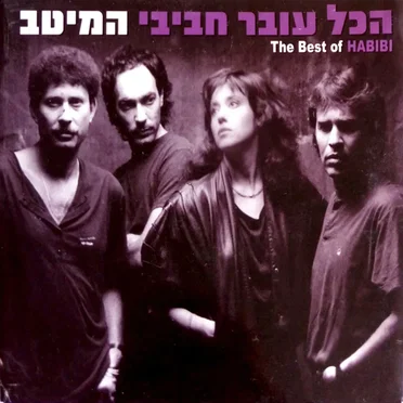 המיטב