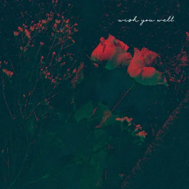 Wish You Well