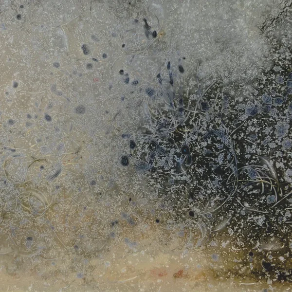 Slow Dances and Still Memories