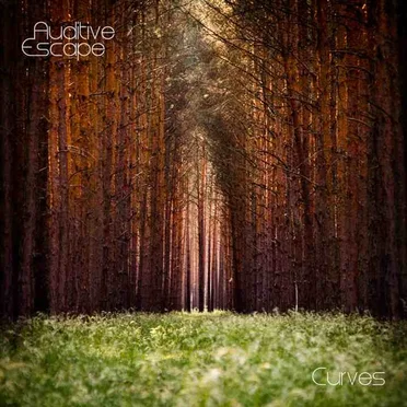 Curves by Auditive Escape - album cover