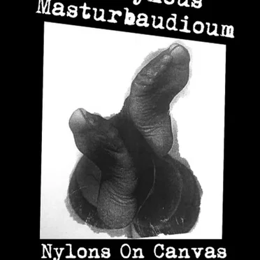 Nylon On Canvas