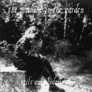 Veils and Shadows by The Machine in the Garden - album cover