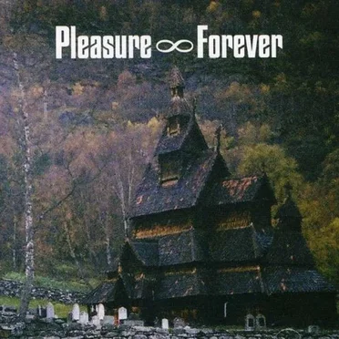 Bodies Need Rest by Pleasure Forever - album cover