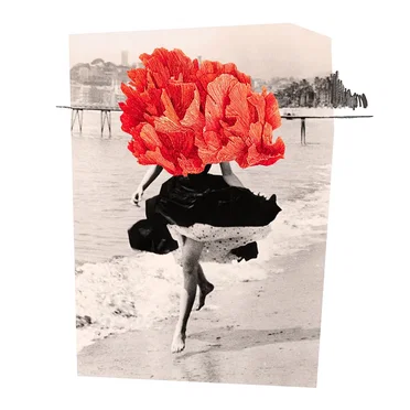 Nautilus by Maria Chiara Argirò - album cover