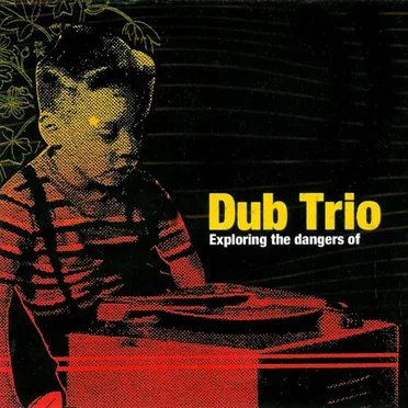Exploring the Dangers Of by Dub Trio - album cover