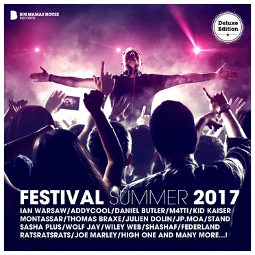 Festival Summer 2017 by Various Artists - album cover