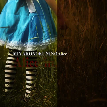 Alice in, by 都の国のアリス - album cover