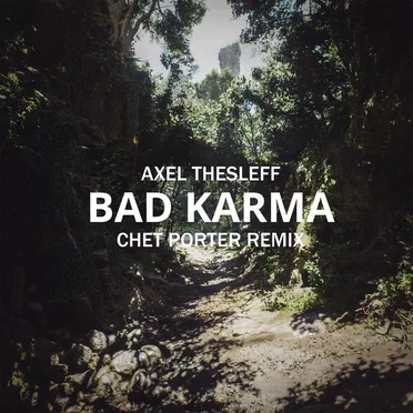 Bad Karma (Chet Porter remix)