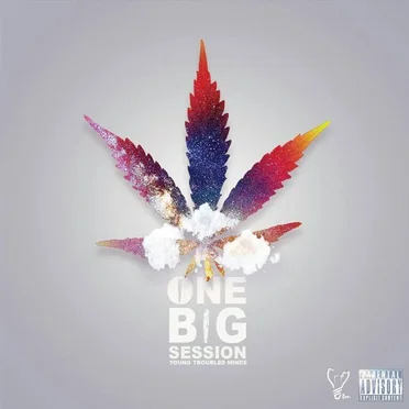 One Big Session by Young Troubled Minds - album cover