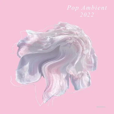 Pop Ambient 2022 by Various Artists - album cover