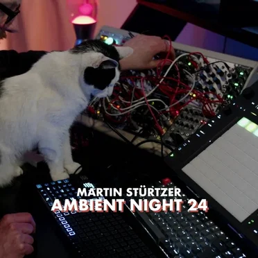 Ambient Night 24 by Martin Stürtzer - album cover