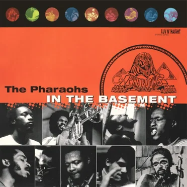 In the Basement