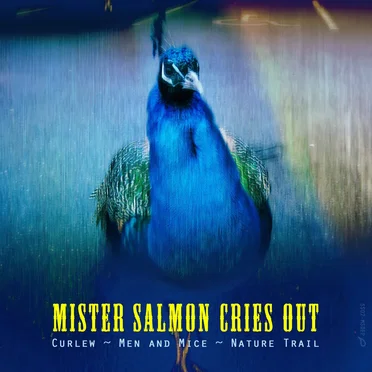 Mister Salmon Cries Out by Mister Salmon - album cover