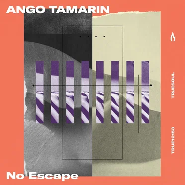 Ango Tamarin