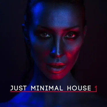 Just Minimal House, Vol. 1 by Various Artists - album cover