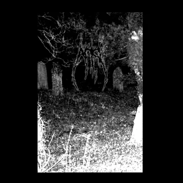Harvesting The Toil Of Flesh Beyond The Entombment Of The Extinction That It Bore