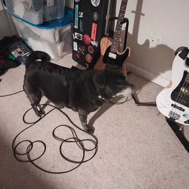 Acoustic Demos #2