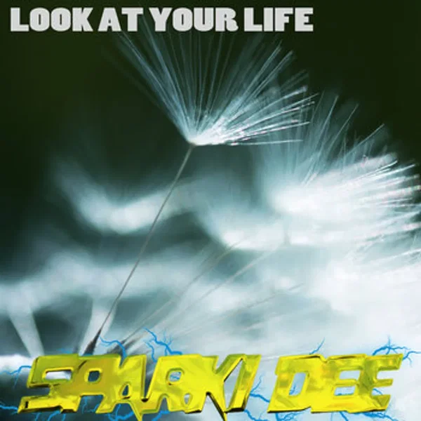 Look at Your Life