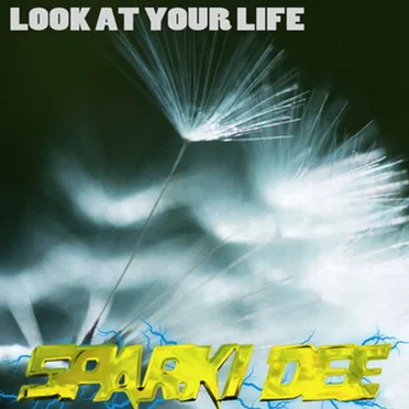 Look at Your Life