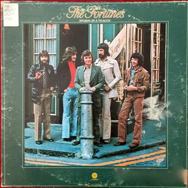Storm in a Teacup by The Fortunes - album cover