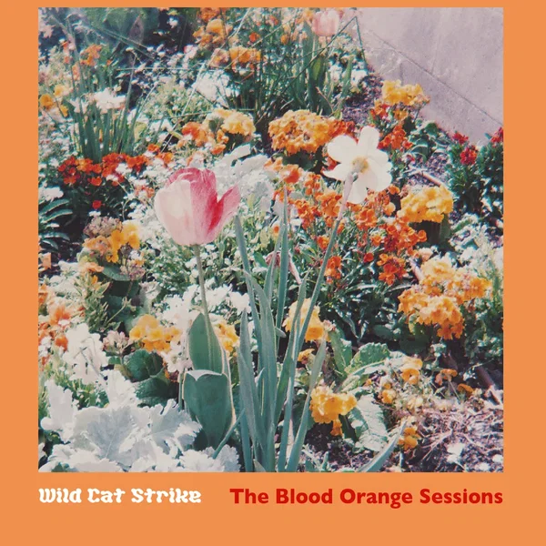 The Blood Orange Sessions