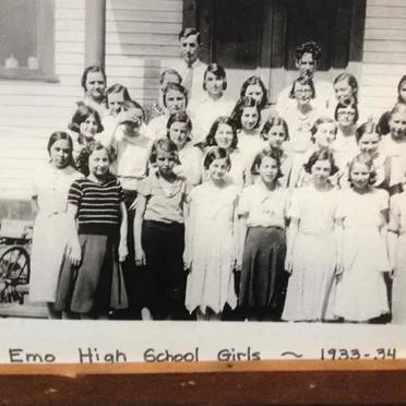 Emo High School by Adult Skort - album cover