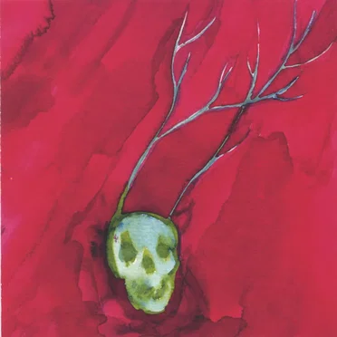 I Am a Cold Rock. I Am Dull Grass. A Tribute to the Music of Will Oldham by Various Artists - album cover