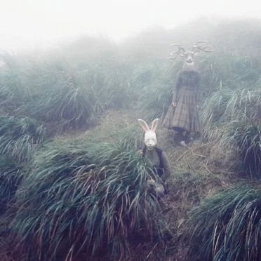 Rabbit Cradle by Hcmj - album cover