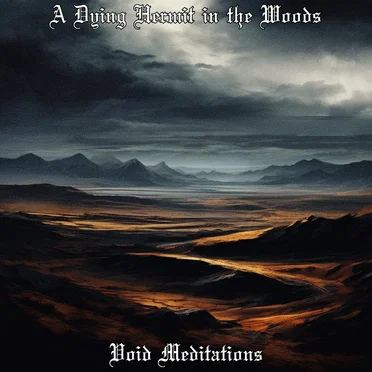 Void Meditations by A Dying Hermit in the Woods - album cover