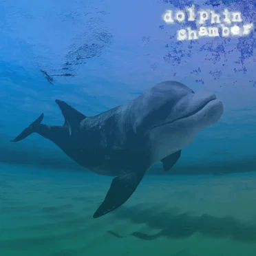 Dolphin Chamber by Seabomb - album cover