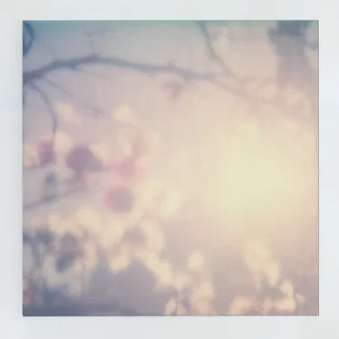 Radiant Emptiness by Sunyataji - album cover