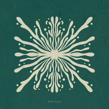 Monstera