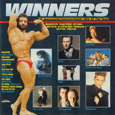 Winners · 16 Successful International Hits of the Year by Various Artists - album cover