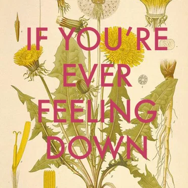 If You're Ever Feeling Down