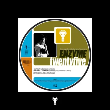 5 Years Of Enzyme Records by Various Artists - album cover
