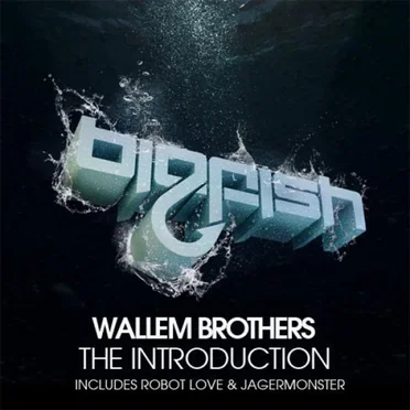 The Introduction by Wallem Brothers - album cover