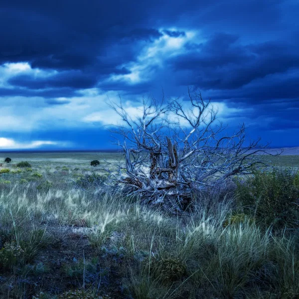 Great Plains (Franky Klassen remix)