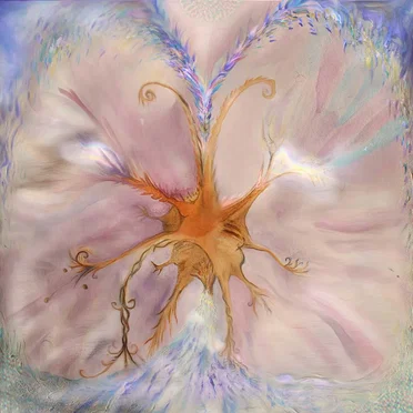 Peter Power