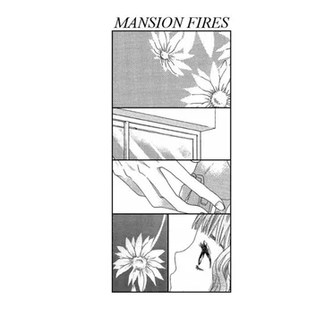 THEME PARK by MANSION FIRES - album cover