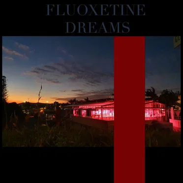 Fluoxetine Dreams by Richard Frenneaux - album cover