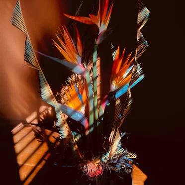 New Life by Berlin Taxi - album cover