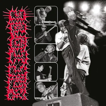 Bite The Hand That Feeds by Upchuck - album cover
