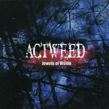 Jewels of Vision by ACTWEED - album cover