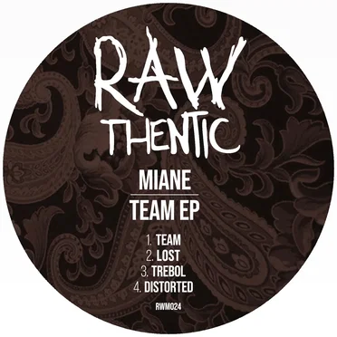 Team by Miane - album cover