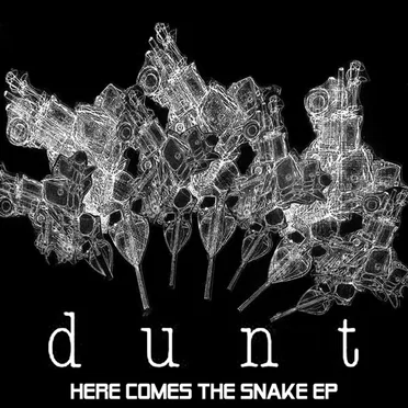 Here Comes The Snake EP by Dunt - album cover