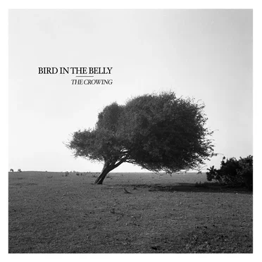 The Crowing by Bird in the Belly - album cover