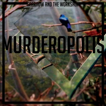 Sparrow and the Workshop