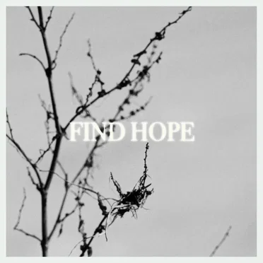 Find Hope by LOSTT - album cover